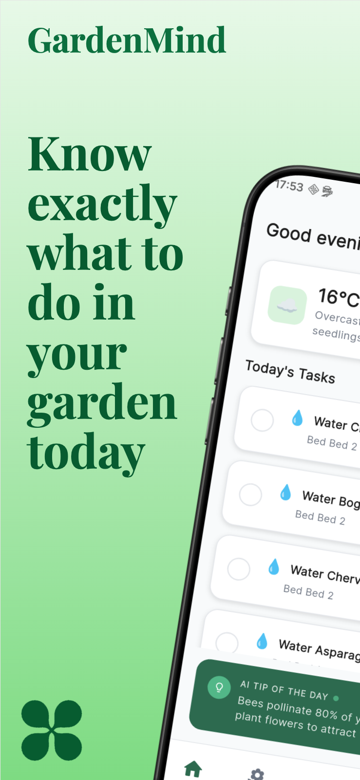 Daily Tasks & Weather