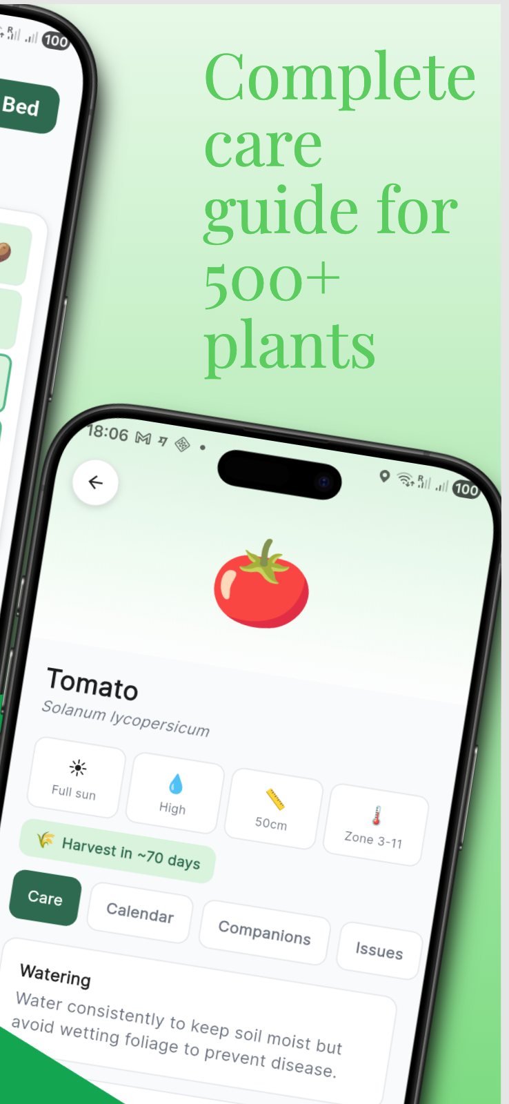 Plant Care Guide