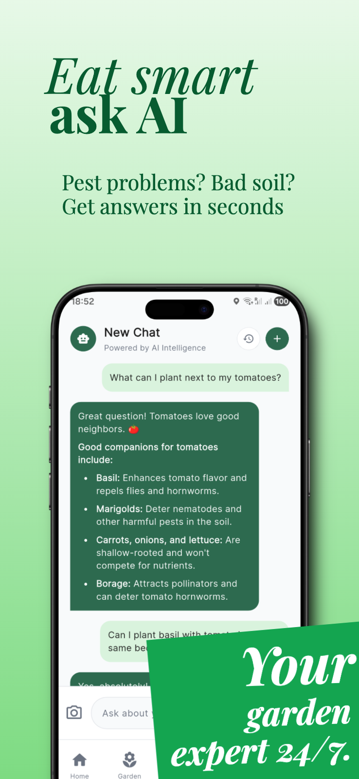 AI Chat Assistant